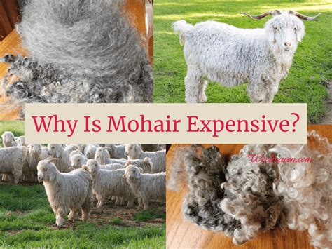 why is mohair so expensive